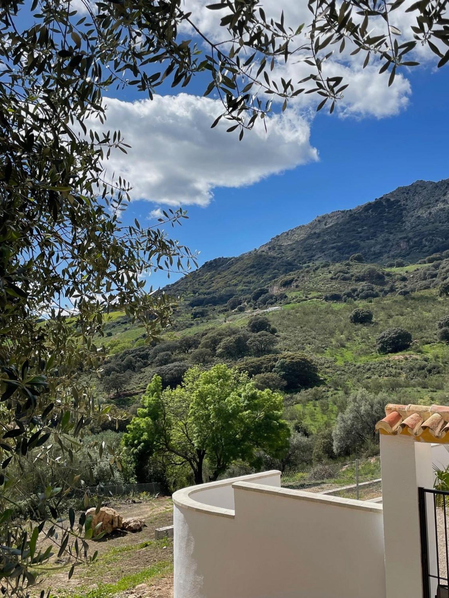 Cortijo Rancho Verde โกลเมนาร์ ภายนอก รูปภาพ