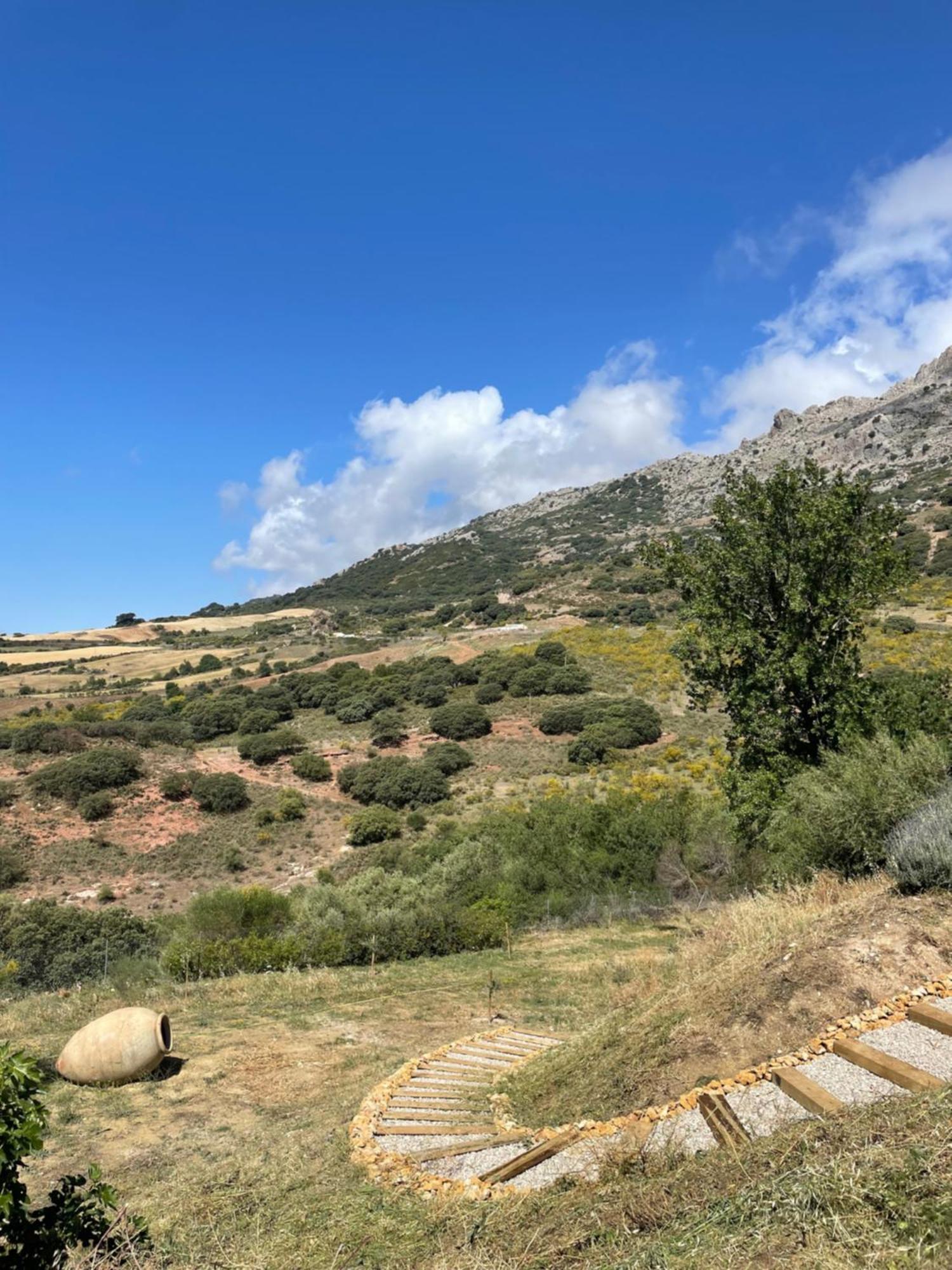 Cortijo Rancho Verde โกลเมนาร์ ภายนอก รูปภาพ